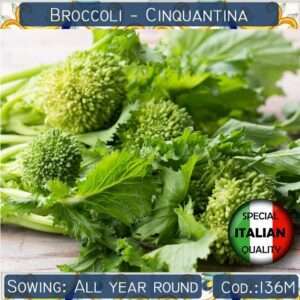 Broccoli Rabe seeds