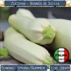 Semi di Zucchina Bianca di Sicilia