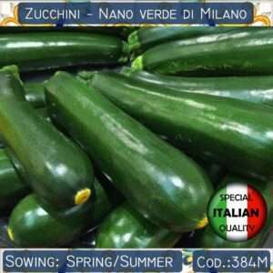 Semi di Zucchine Nano Verde di Milano