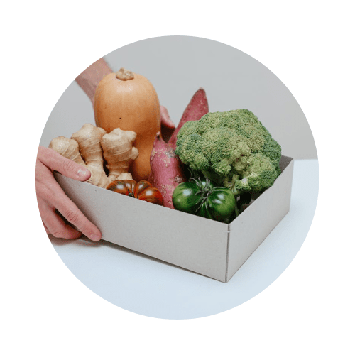 ortaggi verdure la guida organica