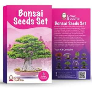 Bonsai Coltiva il tuo kit iniziale di semi