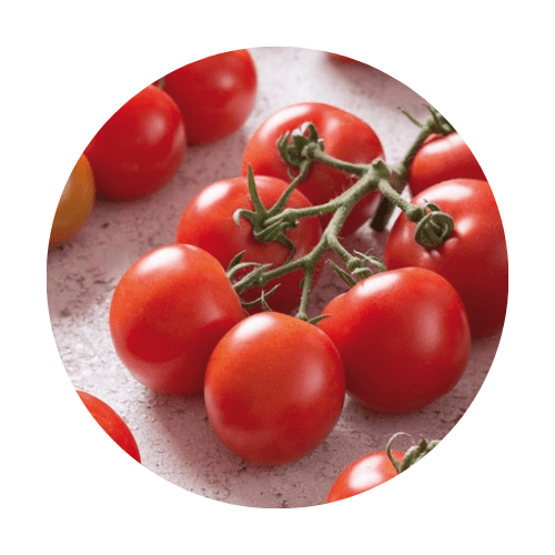 pomodori tondino Usa semi di pomodoro biologici per piantare pomodori.