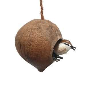 Nido di noce di cocco mangiatoie per uccelli