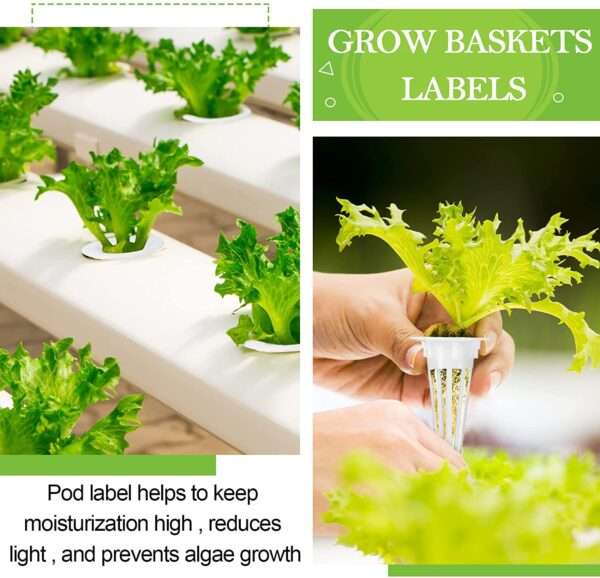 50 contenitori per la coltivazione di piante idroponiche e 50 etichette per vasi di semi