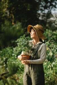 10 consigli su come diventare un buon giardiniere