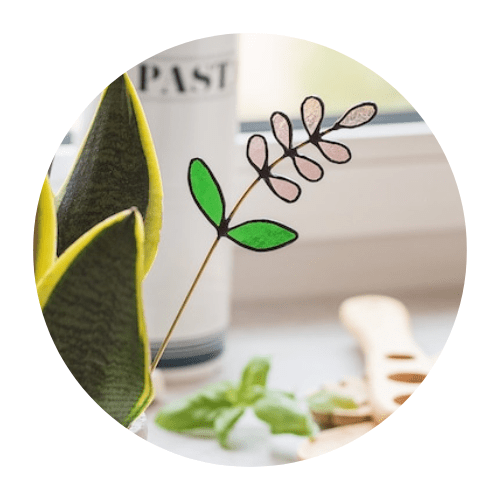 Spina per piante decorative