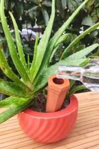 Picchetto per irrigazione automatica per piante in ceramica - 6 pezzi