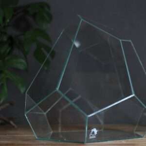Terrario geometrico "Diamante trasparente"