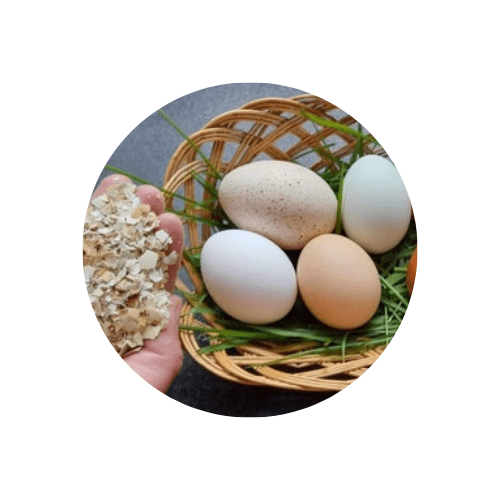 materiali Gusci d'uovo schiacciati