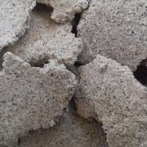 Polvere di torta all'olio di cocco biologico naturale - Letame del suolo