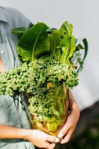 Quali piante crescono meglio con il kale