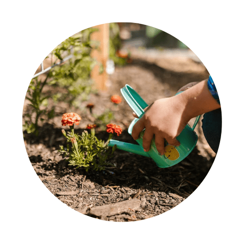irrigazione giardino apperto Giardinaggio organico: miti e fatti